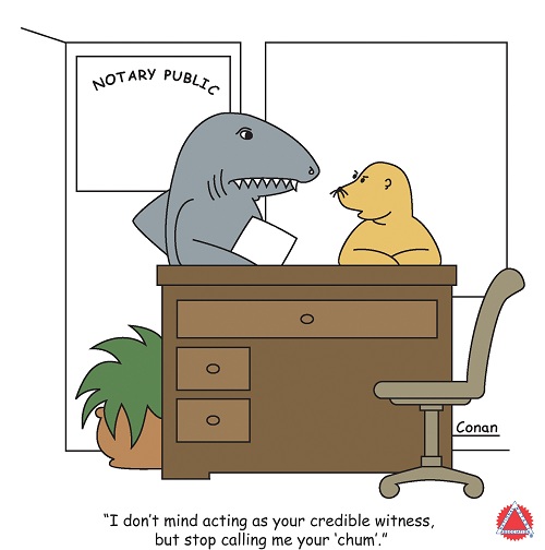 Shark Week Wednesday Chum Resized